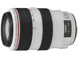 佳能EF 70-300mm鏡頭與普通數(shù)碼相機(jī) 捕捉遠(yuǎn)方的魅力與便攜日常